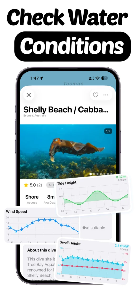 WikiBubbles app - Check conditions