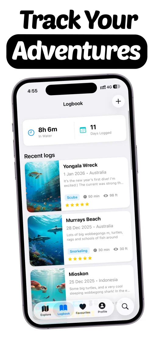 WikiBubbles app - Save memories