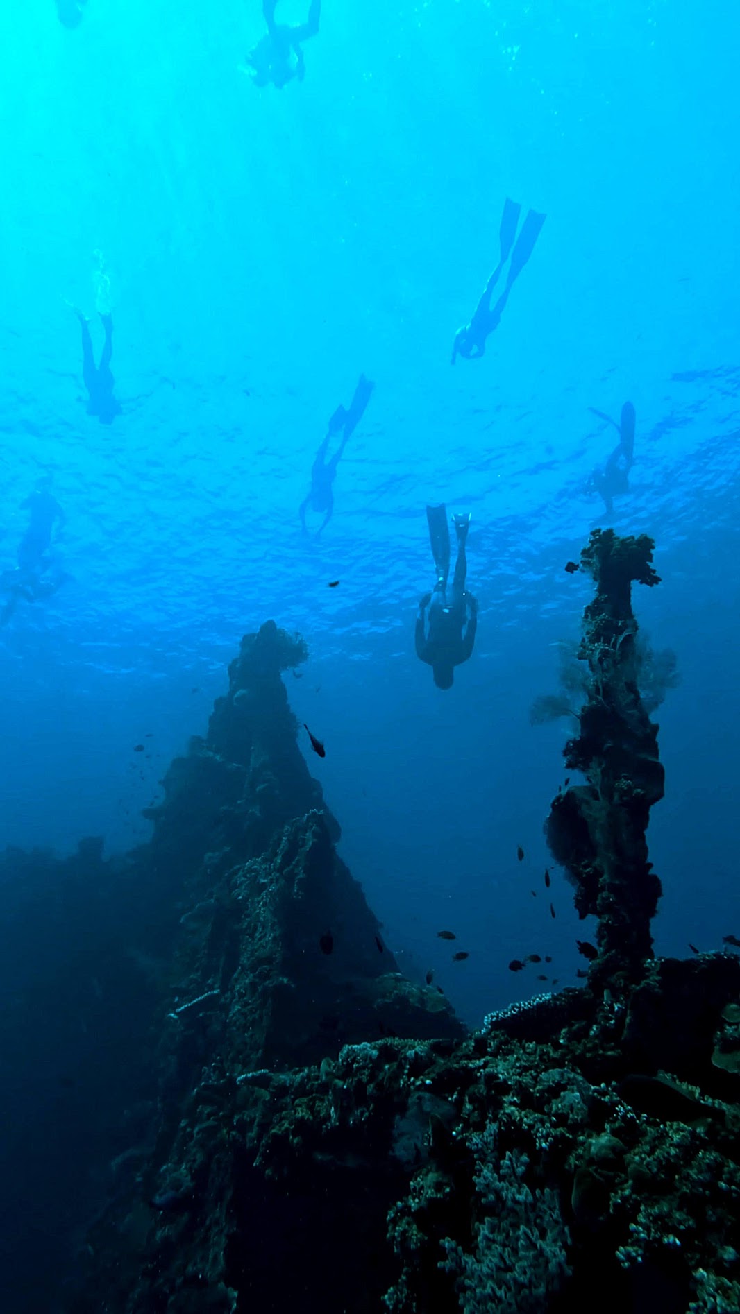 Ocean community