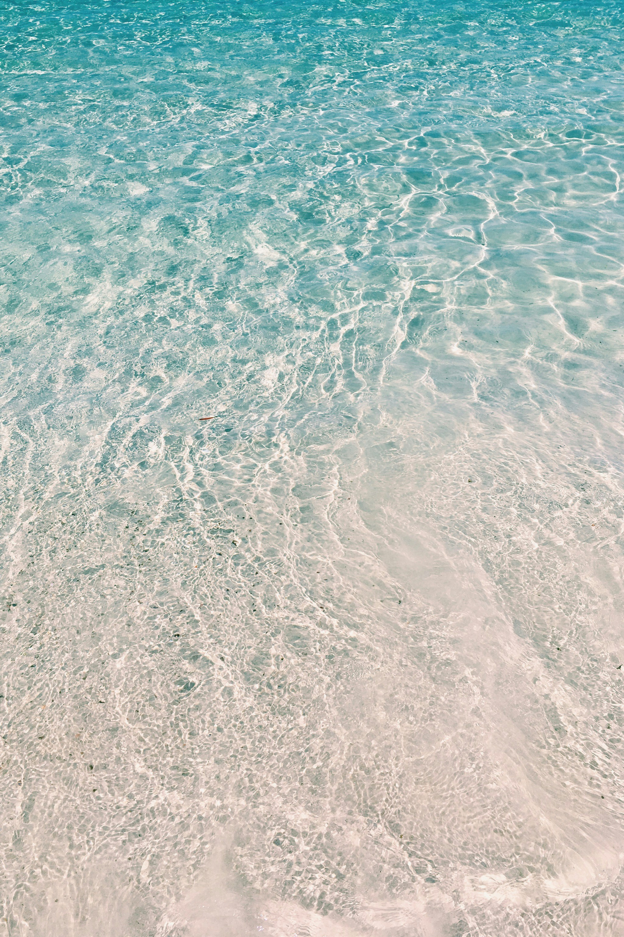 Gallery image for Guide to Freediving and Snorkeling in Jervis Bay from Shore