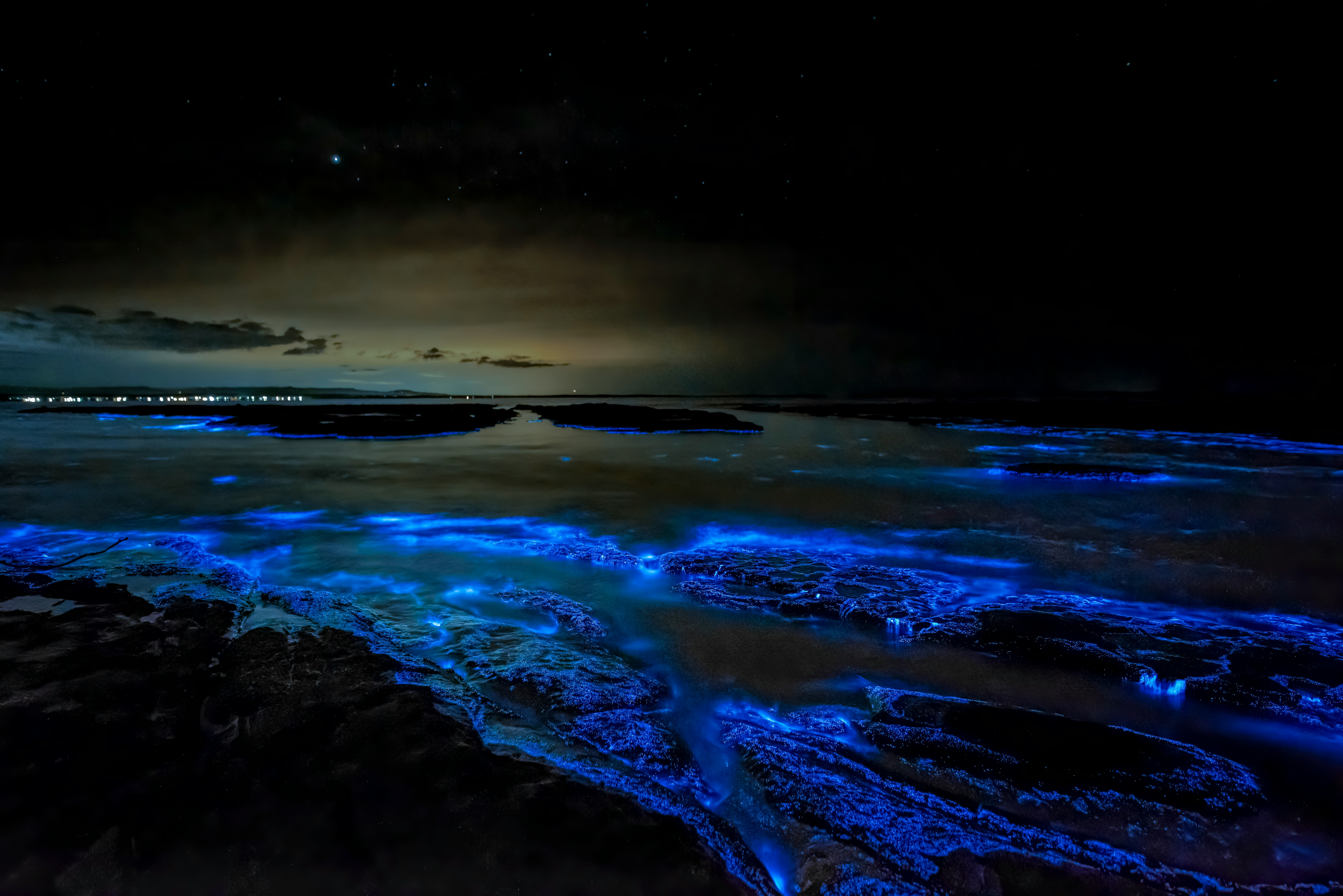 Gallery image for Guide to Freediving and Snorkeling in Jervis Bay from Shore