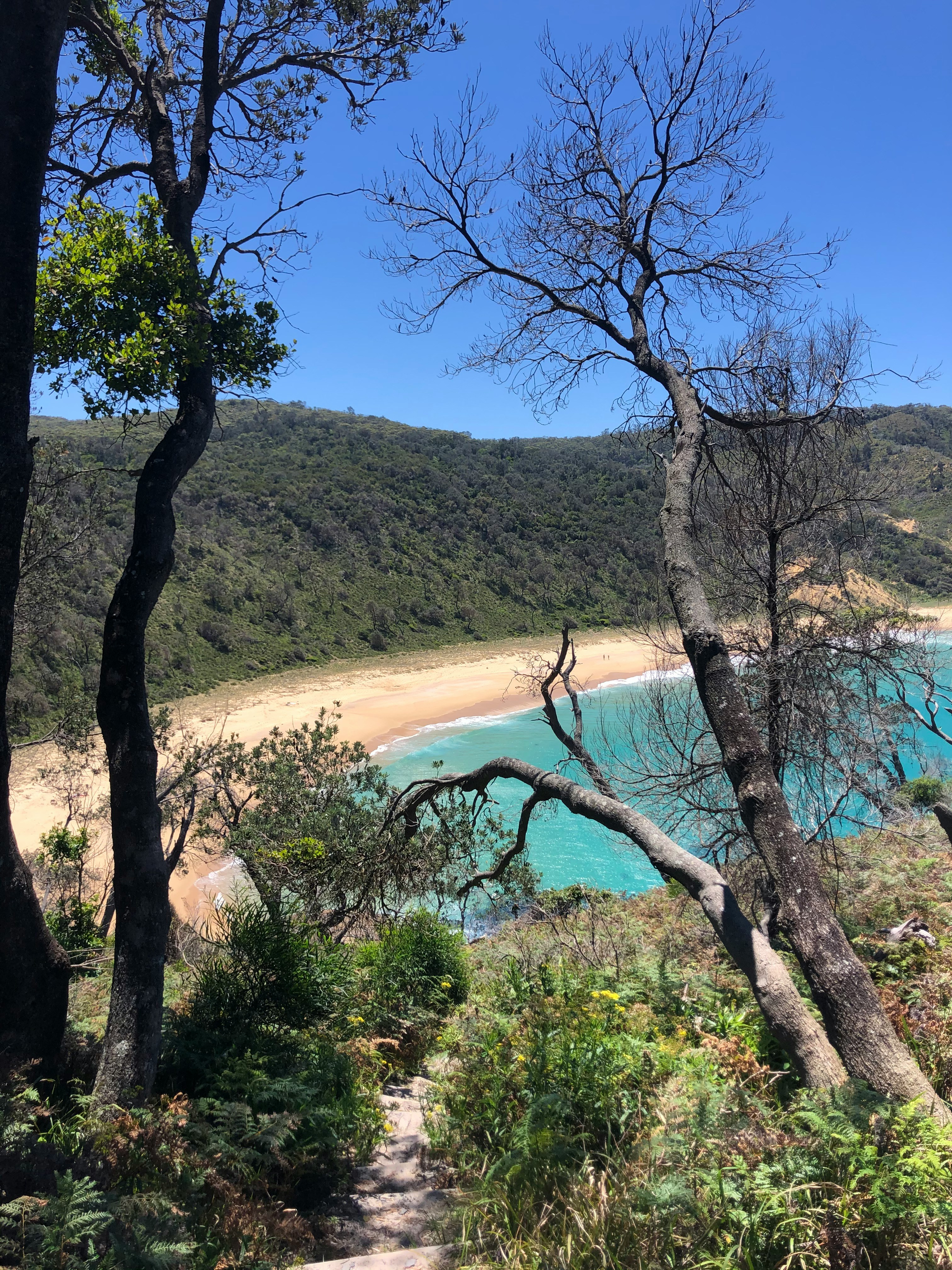 Jervis Bay Snorkeling and Freediving Guide from Shore